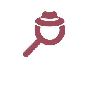 PayGate Inspector